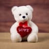 10" plain white bear with soft white fur that holds a bright