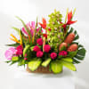 Tropical flower arrangement in a wicker basket with pink roses and orchids