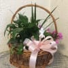 Potted plant basket with pink flowers, a ribbon, and a small angel figurine
