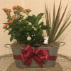 Potted flowering plant arrangement in a metal tub with a red ribbon