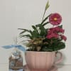 Charming Tea Cup container with Flowering Plant and delicious caramels for your