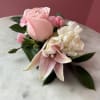 Pink Lily : The elongated, unopened bloom is a pink Oriental or