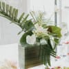 Crisp white tropical blooms rise above broad glossy leaves and layered palm