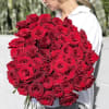 Large bouquet of red roses held by a woman outdoors