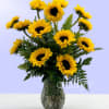 12 Sunflowers arranged in a large glass vase. 