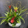 Tropical plant arrangement with red and pink blooms in a white container