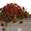 Red carnation arrangement draped over a gray casket