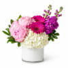 Pink and purple flowers arranged in a white cylindrical vase