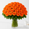 Orange roses arranged in a clear glass vase.