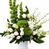 White roses and green blooms arranged in a white vase
