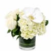 Graceful and timeless, this elegant arrangement features a lush white hydrangea accented