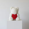 White rose teddy bear with a red heart on its chest