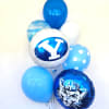 This fantastic grouping of various printed and plain balloons is perfect to