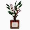Amber reed diffuser bottle with red berry stems and green leaves