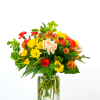 Bright mixed bouquet of yellow daisies, orange alstroemeria, and red and peach carnations in a clear glass jar.