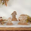 Wooden decor set suitable for enhancing any Fall looks.