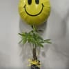Yellow smiley-face balloon above a potted plant in a gift container