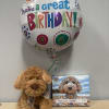 Balloon, doggy, puzzle