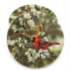 Two round decorative plates with birds and white blossoms