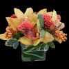 Yellow orchids and pink cockscomb in a square glass vase