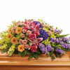 Embrace the vibrant beauty of life with our exquisite casket spray adorned