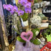 Purple orchid plant in a decorative pot with a pink heart topper