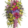 Reflecting the many colors of life, a rich spectrum of blooms evokes