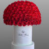 Large dome of red roses on a white pedestal box