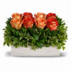 Orange and red roses in a rectangular wooden planter