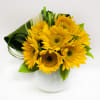 Sunflowers and Aspidistra designed in a white glass vase.