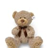 This adorable and huggable bear is ready for playtime, anytime!