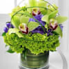 Compact arrangement of green cymbidium orchids and purple flowers in a clear glass cylinder vase
