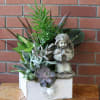 Succulent planter with an angel figurine in a white box