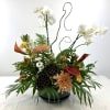 Phalaenopsis orchid with peach, red and white blooms in a low ceramic