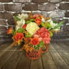 A great seasonal mug that states, " I'm a Witch before my