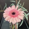 Pink gerbera daisy in a clear glass vase with airy greenery