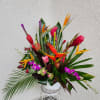 Tropical flower arrangement with bird of paradise and orchids in a white vase
