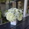 White hydrangea and rose bouquet in a white vase