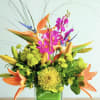 Tropical bouquet with orange bird-of-paradise and pink orchids in a glass vase