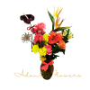 Mixed bouquet in a dark vase with roses, daisies, and tropical blooms