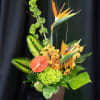 Tropical flower arrangement with orange bird-of-paradise and green hydrangea in a brown pot