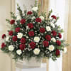 Red and white carnation arrangement in a white container