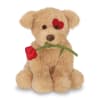 Plush teddy bear holding a red rose