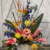 Seasonal Tropical with accenting summer garden flowers in bright colors, container may