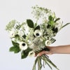 Handheld bouquet of white anemones and airy white filler flowers