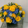 Yellow roses and blue hydrangeas in a square glass vase