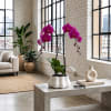Potted purple orchids in a white planter on a concrete table
