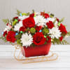 Red roses and white daisies in a red sleigh-shaped container