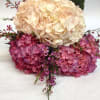 This wrapped bouquet is an assortment of hydrangea: pink, white, purple, blue