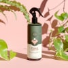 Bottle of plant care spray surrounded by houseplant leaves